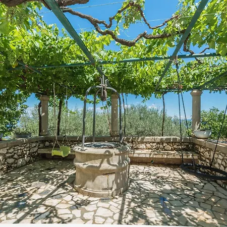 Victory-3 By Interhome Raša